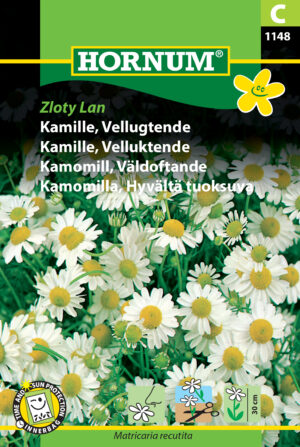 Kamille, Vellugtende, Zloty Lan (C ) 1148