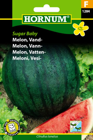 Melon, Vand-, Sugar baby (F) 1284