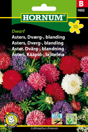Asters, Dværg-, blanding, Dwarf (B) 1652