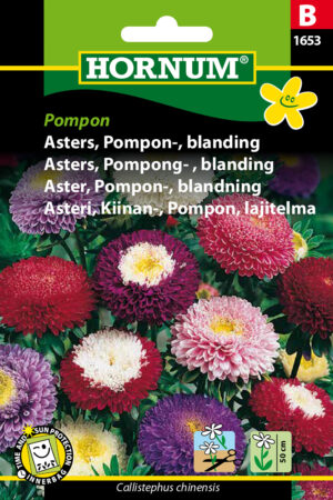 Asters, Pompon-, blanding, Pompon (B) 1653