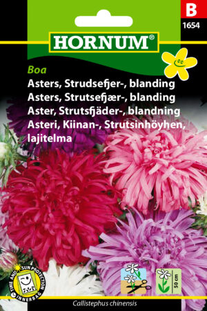 Asters, Strudsefjer-, blanding, Boa (B) 1654
