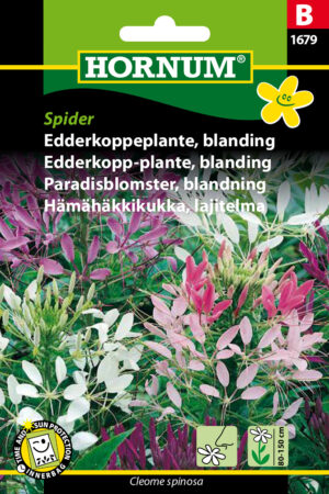 Edderkoppeplante, blanding, Spider (B) 1679
