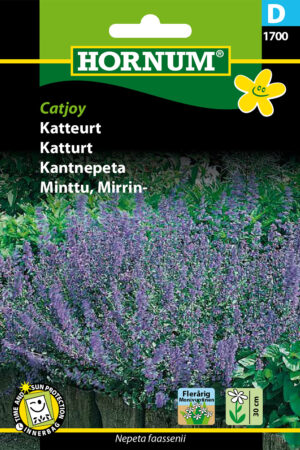 Katteurt, Catjoy (D) 1700