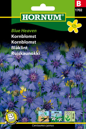 Kornblomst, Blue Heaven (B) 1702