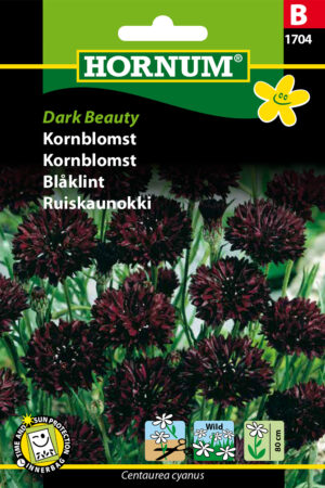 Kornblomst, Dark Beauty (B) 1704