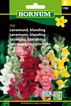 Løvemund, blanding, Joy (A) 1709