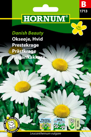 Okseøje, Danish Beauty (B) 1713