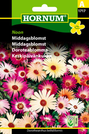 Middagsblomst, Noon (A) 1717