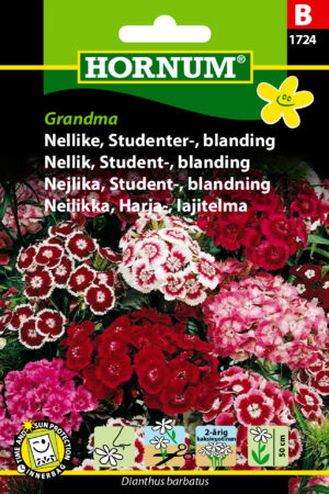 Nellike, Studenter-, bl., Grandma (B) 1724
