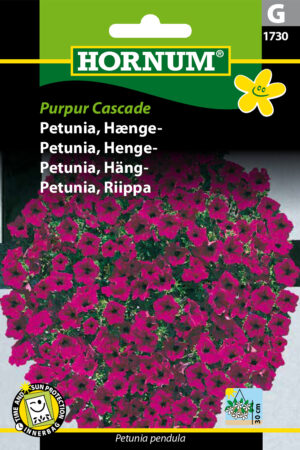 Petunia, Hænge-, Purpur Cascade (F) 1730