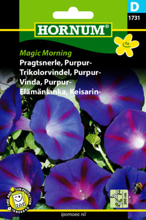 Pragtsnerle, Purpur-, Magic Morning (D) 1731