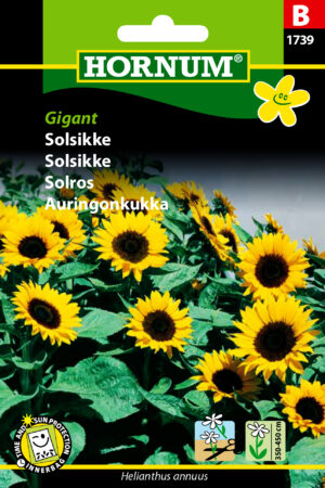 Solsikke, Gigant (B) 1739