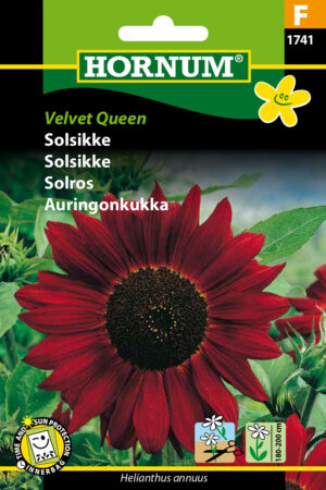 Solsikke, Velvet Queen (F) 1741