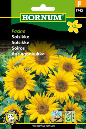 Solsikke, Pacino (F) 1742