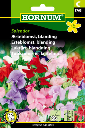 Ærteblomst, blanding, Splendor (C) 1763