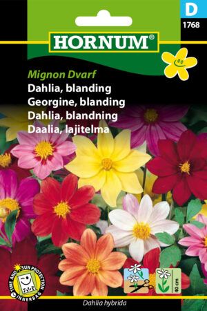 Dahlia, blanding, Mignon Dvarf (D) 1768