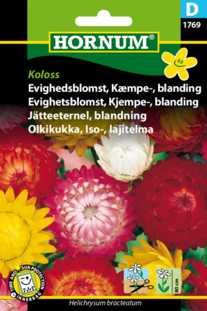 Evighedsblomst, Kæmpe-, blanding (D) 1769