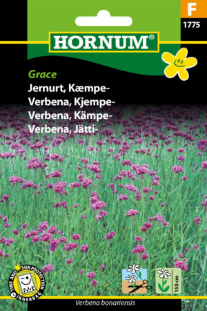 Jernurt, Kæmpe-, Grace (F) 1775