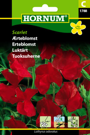 Ærteblomst, Scarlet (C) 1788