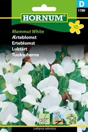 Ærteblomst, Mammut White (D) 1789