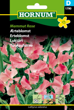 Ærteblomst, Mammut Rose (D) 1790