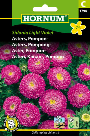 Asters, Pompon-, Sidonia L. Violet ( C) 1794