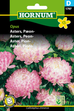 Asters, Pæon-, Opus (D) 1797