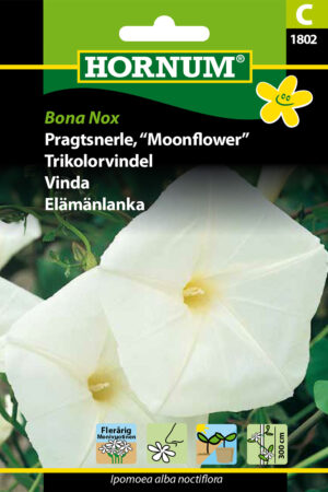Pragtsnerle, Bona Nox (C) 1802