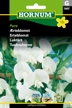 Ærteblomst, Pure (G) 1807