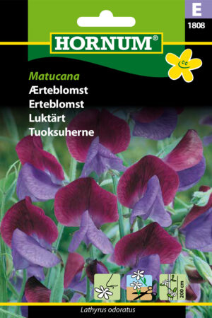 Ærteblomst, Matucana (E) 1808