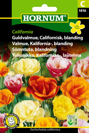 Guldvalmue, Californisk, bl., Calif. ( C) 1816