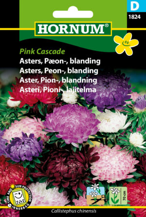 Asters, Pæon-, blan., Pink Cascade (D) 1824