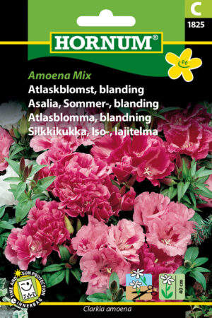 Atlaskblomst, blanding, Amoena Mix ( C) 1825