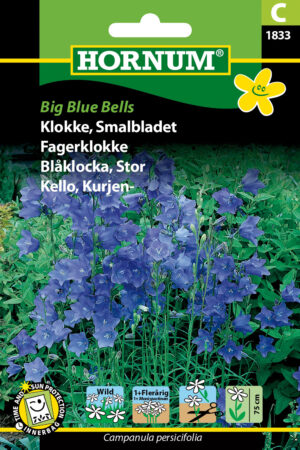 Klokke, Smalbladet, Big Blue Bells (C) 1833