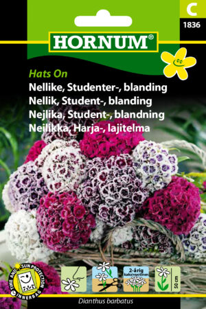 Nellike, Studenter-, bl., Hats On (C) 1836