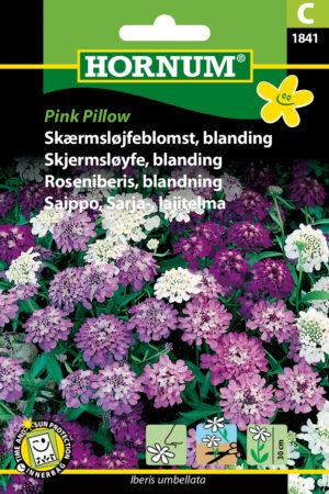 Skærmsløjfeblomst, bla, Pink Pillow (C) 1841