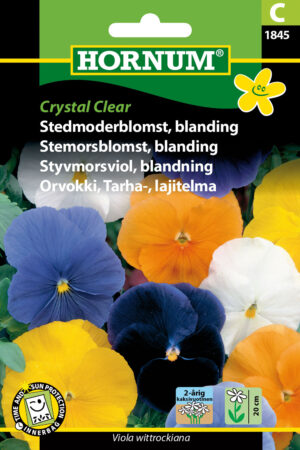Stedmoderblomst, bl., Crystal Clear (C ) 1845