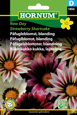 Påfugleblomst, bl., New Day Straw.S. (D) 1854