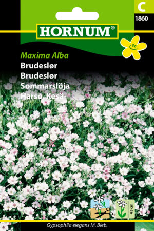 Brudeslør, Maxima Alba ( C) 1860