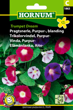Pragtsnerle, Purpur-, bl. Trumpet D. (C) 1863