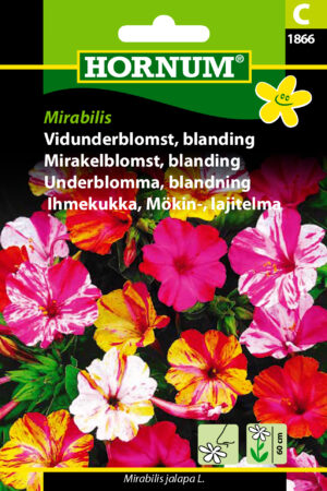 Vidunderblomst, blanding, Mirabilis (C) 1866