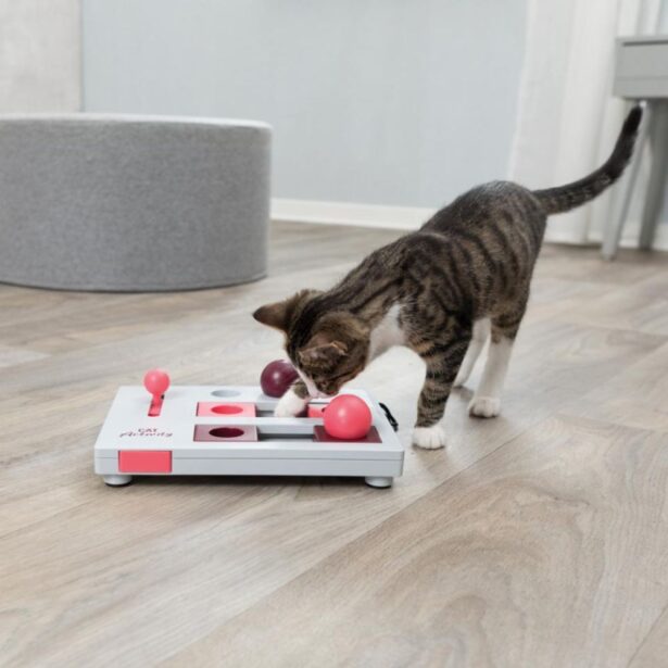 Cat Activity Brain mover aktivitetslegetøj til katte