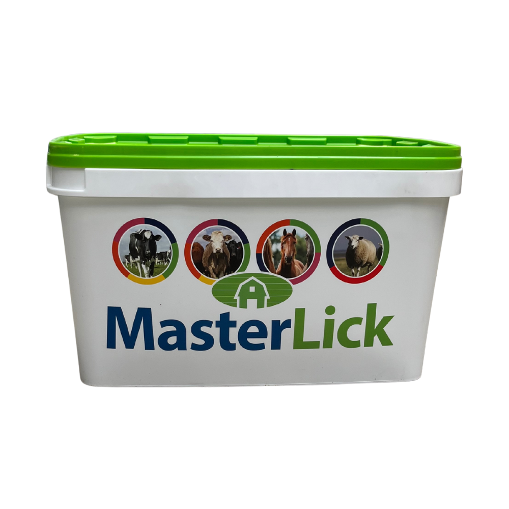 MasterLick Summer Garlic - Nature - 20 kg.