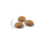 Royal Canin Active udekatte foderpille