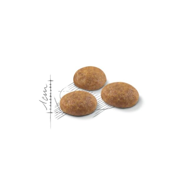 Royal Canin Active udekatte foderpille