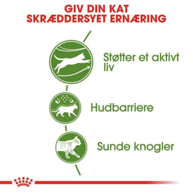 Royal Canin Active Life fordele for udekatte
