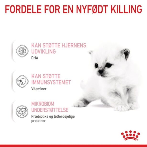 Royal Canin Babycat Milk 300 g mælkeerstatning til killinger fordele