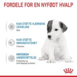 Royal Canin Babydog Milk 400 g mælkeerstatning til hvalpe