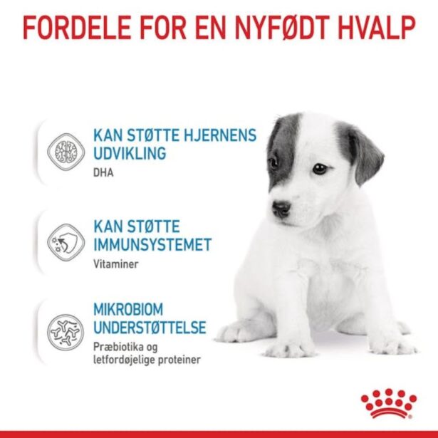 Royal Canin Babydog Milk 400 g mælkeerstatning til hvalpe