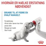 Royal Canin Babydog Milk 400 g mælkeerstatning til hvalpe